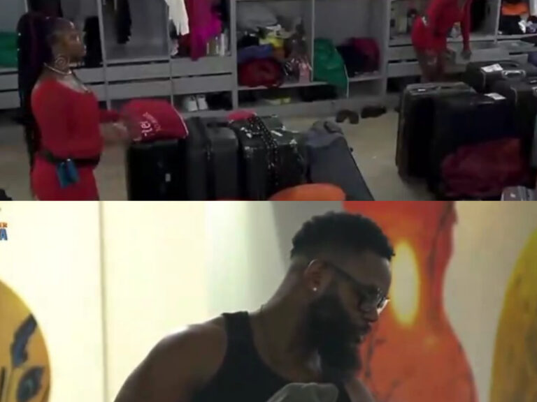 The Moment Housemates noticed their eggs are missing (VIDE0S) The Moment Housemates noticed their eggs are missing (VIDE0S)