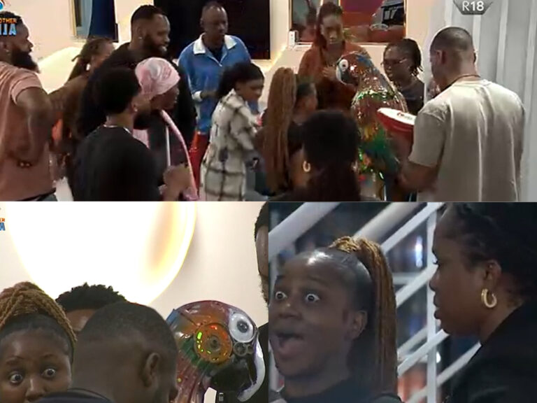 The Moment The Parrot Casted Housemates Conversations (Full VIDE0) The Moment The Parrot Casted Housemates Conversations (Full VIDE0)